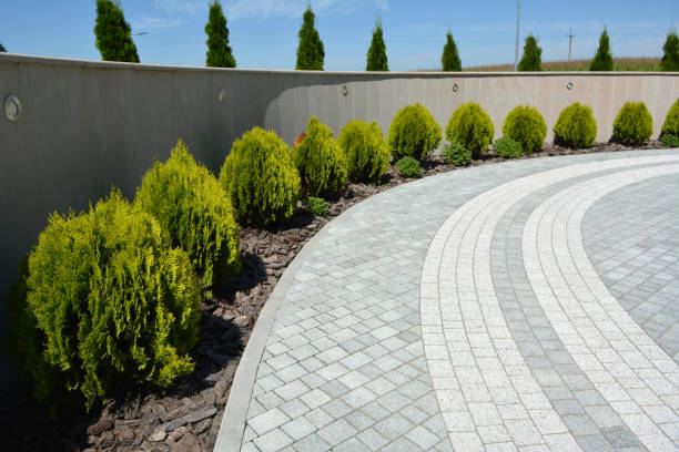Best Decorative Driveway Pavers  in Rapid Valley, SD
